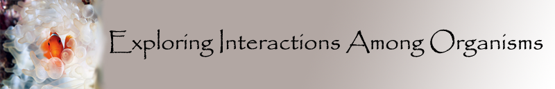 Banner image for header.